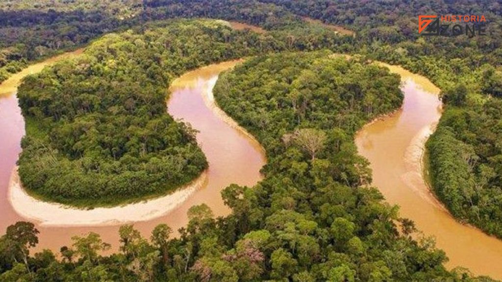 Hutan Amazon: Dari Keajaiban Alam ke Ancaman Krisis