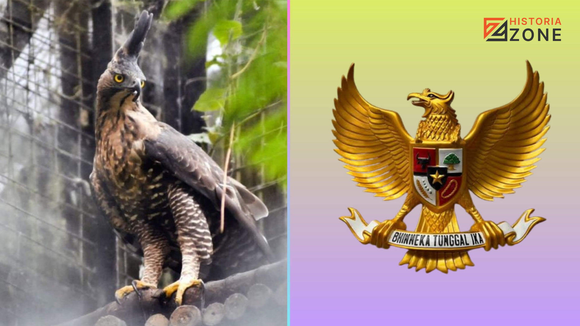 Burung Garuda: Simbol Kekuatan dan Persatuan Indonesia