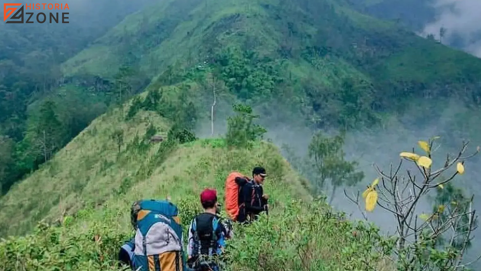 Gunung Wilis: Keindahan Alam dan Sejarah yang Tersembunyi